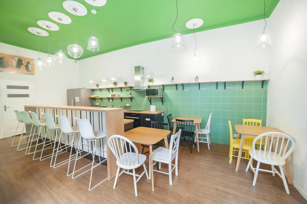 Dizzy Daisy Hostel Krakau Polen